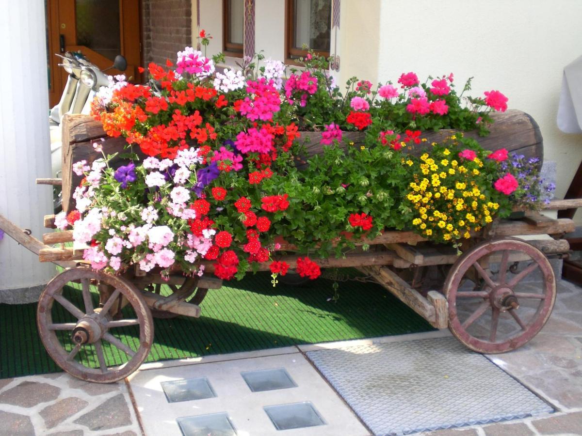 Park Hotel Arnica Falcade Luaran gambar